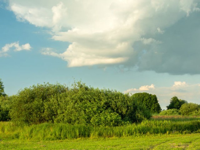 „AgroPot – Agroforstpotenzial zur Bindung und Speicherung von CO² im Salzlandkreis“