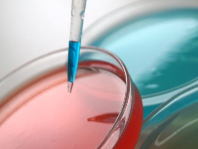 17. Weiterbildungsveranstaltung zur Lebensmittelhygiene und Lebensmittelsicherheit